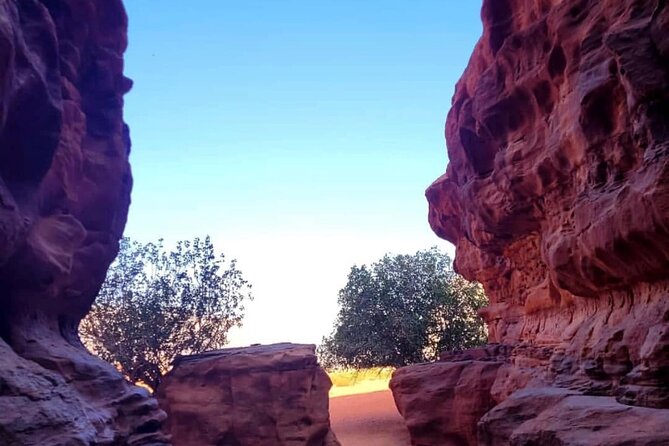 Wadi Rum Full Day Jeep Tour + Overnight & Dinner in Bedouin Camp - A fire-cooked lunch in the open desert