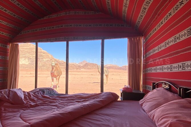 Wadi Rum Full Day Jeep Tour + Overnight & Dinner in Bedouin Camp - Lawrence’s House and the quieter white desert