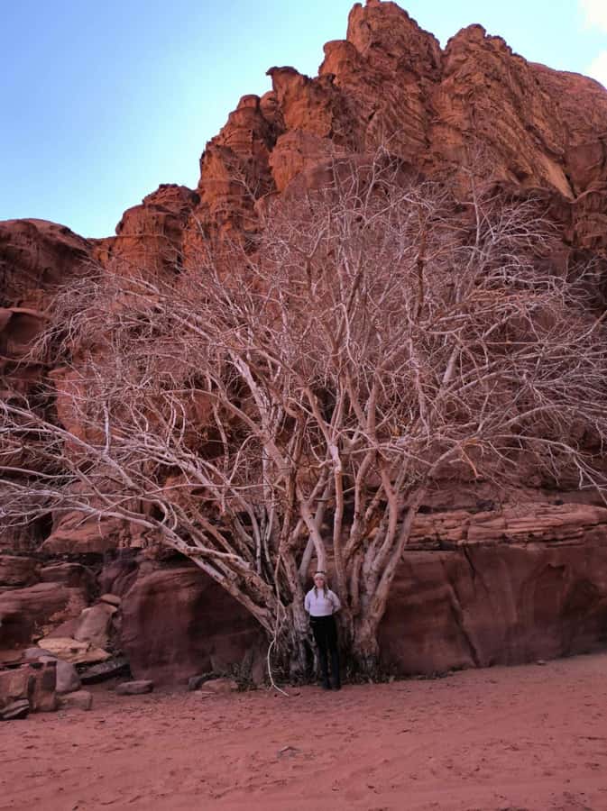 Wadi Rum: Morning or Sunset Jeep Tour - Um Frouth Rock Arch and choosing the right level of adventure